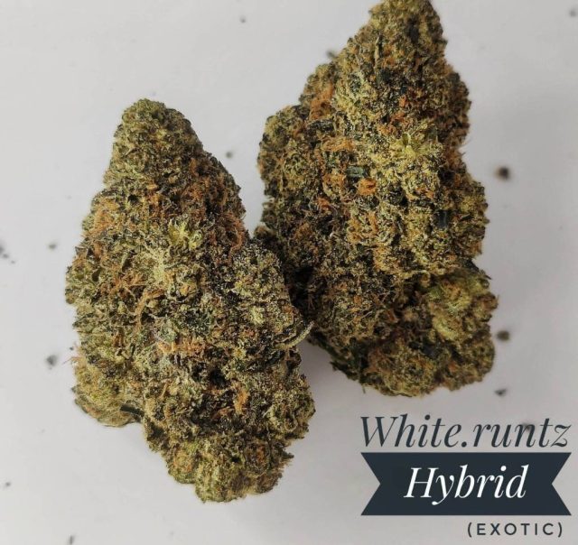 Cereal Milk Exotic In Thailand