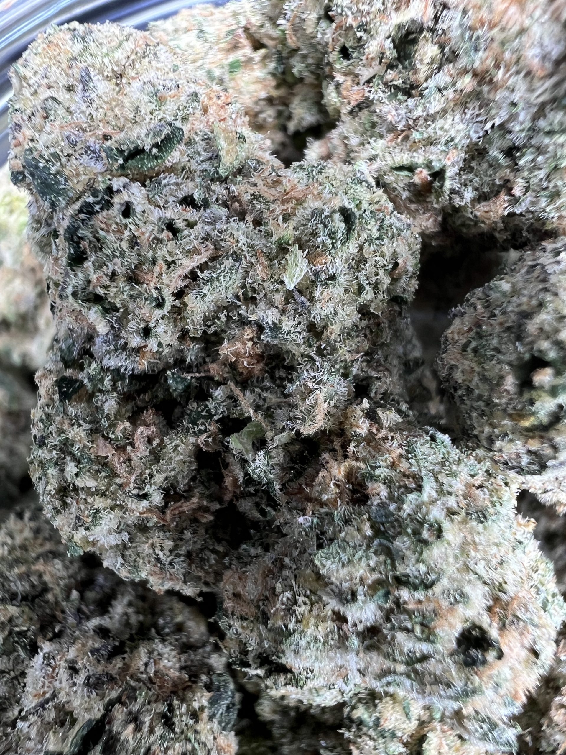 👽 Alien Mints Exotic In Thailand